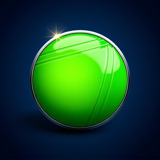 Brazil Last World Cup Win logo